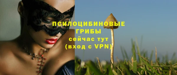 мет Михайлов